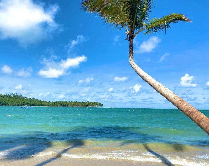 Flat Praia Dos Carneiros Eco Resort 26 Tamandaré Екстериор снимка